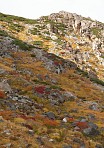 2006 御嶽山の紅葉