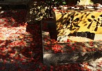 2006 定光寺の紅葉