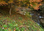 2006 王滝渓谷の紅葉